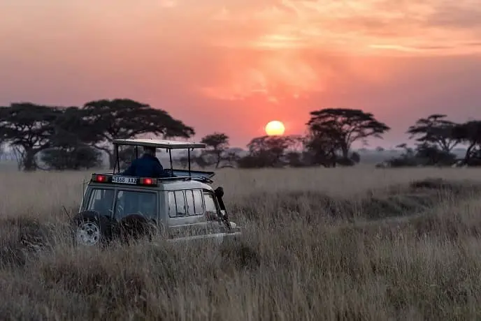 Safari Afrique-du-sud